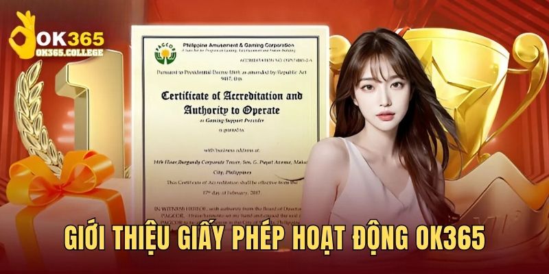 Giới thiệu về văn bản kinh doanh hợp pháp OK365 đang được cấp